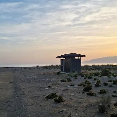 Antalya Deniz Kenari Kumluca