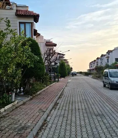 Antalya Deniz Kenari
